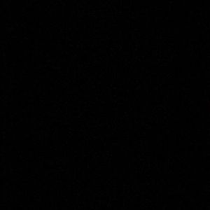 Meet your Posher, Shirley